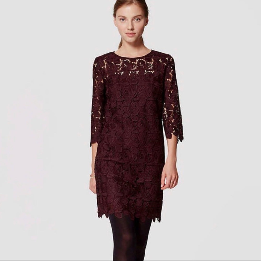 Ann Taylor Loft Burgundy Lace Shift Dress